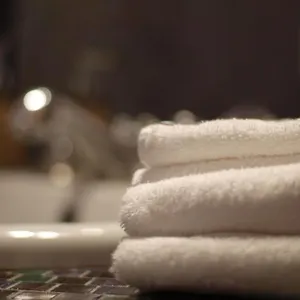 https://palazzo-regina.hotelinveneto.com
